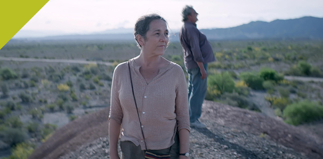 La novia del desierto