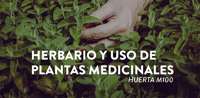 Herbario y uso de plantas medicinales