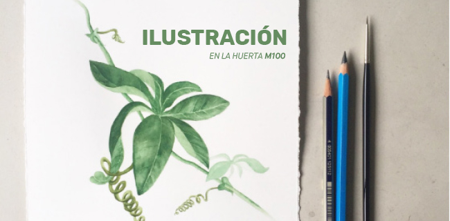 Taller de ilustración naturalista en la Huerta M100