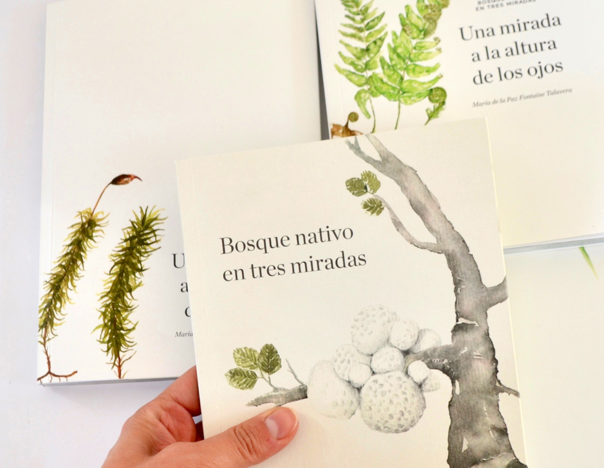 Ilustrando mi entorno, diarios de naturaleza