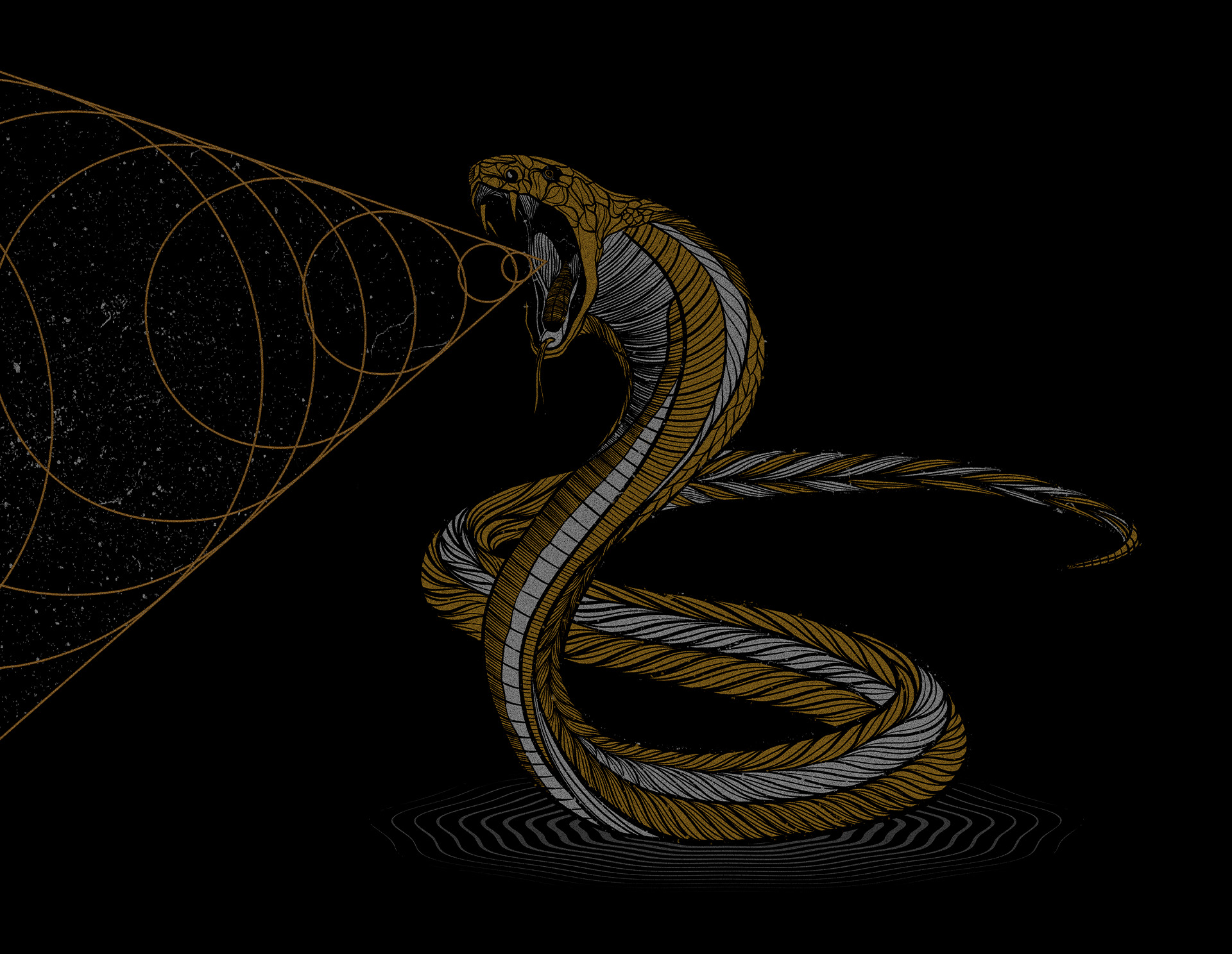 Chaos in Re/evolution fest 2