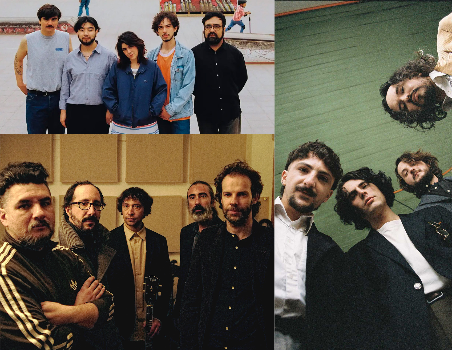 Matorral, Flores Alegría y Tortuganónima